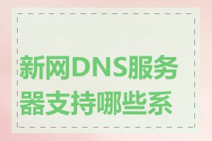 新网DNS服务器支持哪些系统