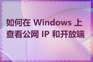 如何在 Windows 上查看公网 IP 和开放端口