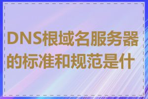 DNS根域名服务器的标准和规范是什么