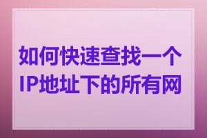 如何快速查找一个IP地址下的所有网站