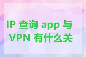 IP 查询 app 与 VPN 有什么关系