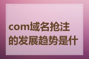 com域名抢注的发展趋势是什么