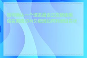 如何确认一个域名是否正在被使用_域名系统(DNS)查询如何判断域名状态