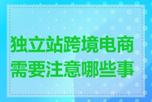 独立站跨境电商需要注意哪些事项