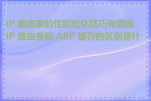 IP 路由表的性能优化技巧有哪些_IP 路由表和 ARP 缓存的区别是什么