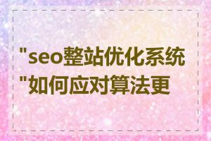 "seo整站优化系统"如何应对算法更新