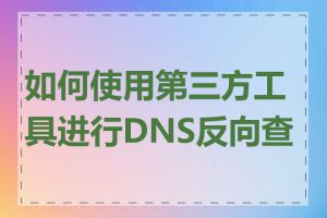 如何使用第三方工具进行DNS反向查找