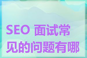 SEO 面试常见的问题有哪些