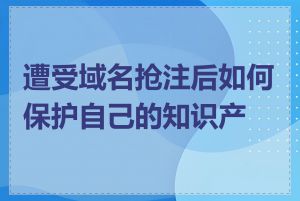 遭受域名抢注后如何保护自己的知识产权