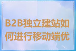 B2B独立建站如何进行移动端优化