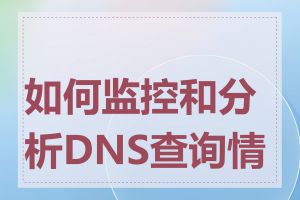 如何监控和分析DNS查询情况