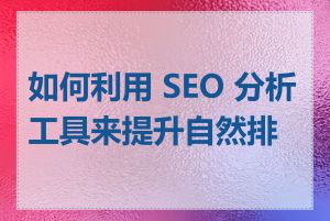 如何利用 SEO 分析工具来提升自然排名