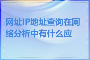 网址IP地址查询在网络分析中有什么应用