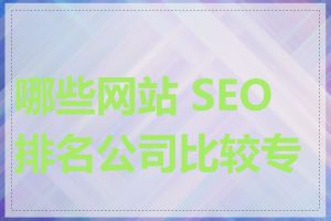 哪些网站 SEO 排名公司比较专业