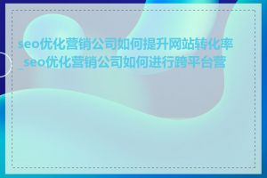 seo优化营销公司如何提升网站转化率_seo优化营销公司如何进行跨平台营销