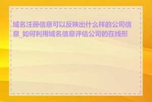 域名注册信息可以反映出什么样的公司信息_如何利用域名信息评估公司的在线形象