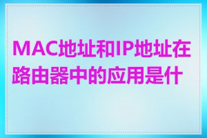 MAC地址和IP地址在路由器中的应用是什么