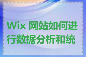 Wix 网站如何进行数据分析和统计