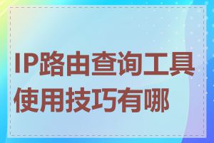 IP路由查询工具使用技巧有哪些