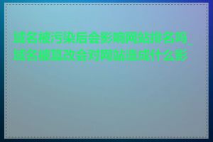 域名被污染后会影响网站排名吗_域名被篡改会对网站造成什么影响