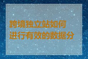 跨境独立站如何进行有效的数据分析