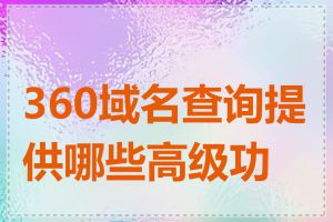 360域名查询提供哪些高级功能