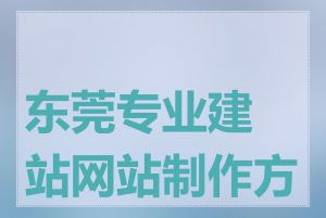 东莞专业建站网站制作方案