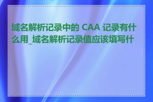 域名解析记录中的 CAA 记录有什么用_域名解析记录值应该填写什么