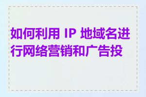 如何利用 IP 地域名进行网络营销和广告投放