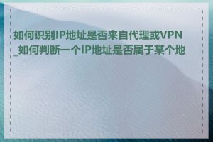 如何识别IP地址是否来自代理或VPN_如何判断一个IP地址是否属于某个地区