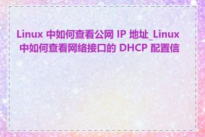 Linux 中如何查看公网 IP 地址_Linux 中如何查看网络接口的 DHCP 配置信息