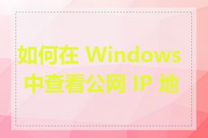 如何在 Windows 中查看公网 IP 地址