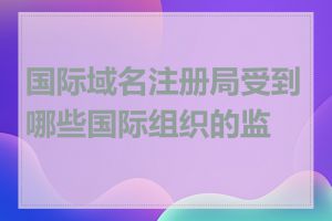 国际域名注册局受到哪些国际组织的监管