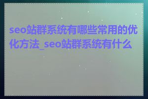 seo站群系统有哪些常用的优化方法_seo站群系统有什么用