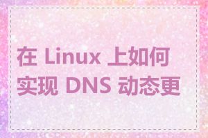 在 Linux 上如何实现 DNS 动态更新