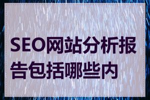 SEO网站分析报告包括哪些内容