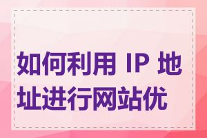 如何利用 IP 地址进行网站优化