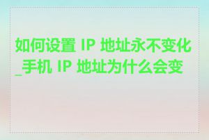 如何设置 IP 地址永不变化_手机 IP 地址为什么会变化