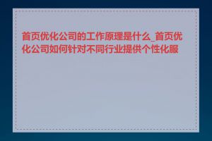 首页优化公司的工作原理是什么_首页优化公司如何针对不同行业提供个性化服务