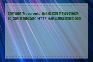 如何通过 Traceroute 命令追踪域名的服务器路径_如何查看网站的 HTTP 头信息来确定服务器类型