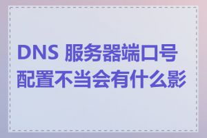 DNS 服务器端口号配置不当会有什么影响