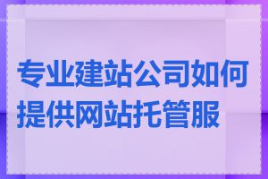 专业建站公司如何提供网站托管服务