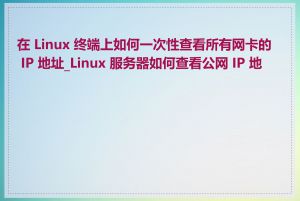 在 Linux 终端上如何一次性查看所有网卡的 IP 地址_Linux 服务器如何查看公网 IP 地址