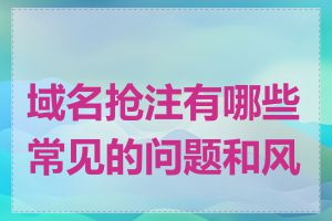 域名抢注有哪些常见的问题和风险