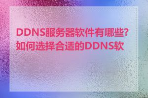 DDNS服务器软件有哪些?如何选择合适的DDNS软件