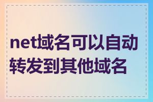 net域名可以自动转发到其他域名吗