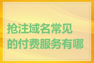 抢注域名常见的付费服务有哪些