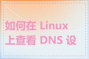 如何在 Linux 上查看 DNS 设置