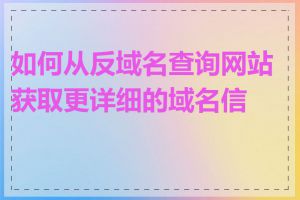 如何从反域名查询网站获取更详细的域名信息