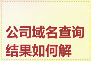 公司域名查询结果如何解读